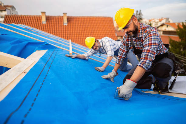 Roof Gutter Cleaning in Rock Island, IL